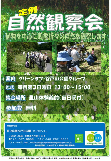 県立座間谷戸山公園　「定例 自然観察会」
